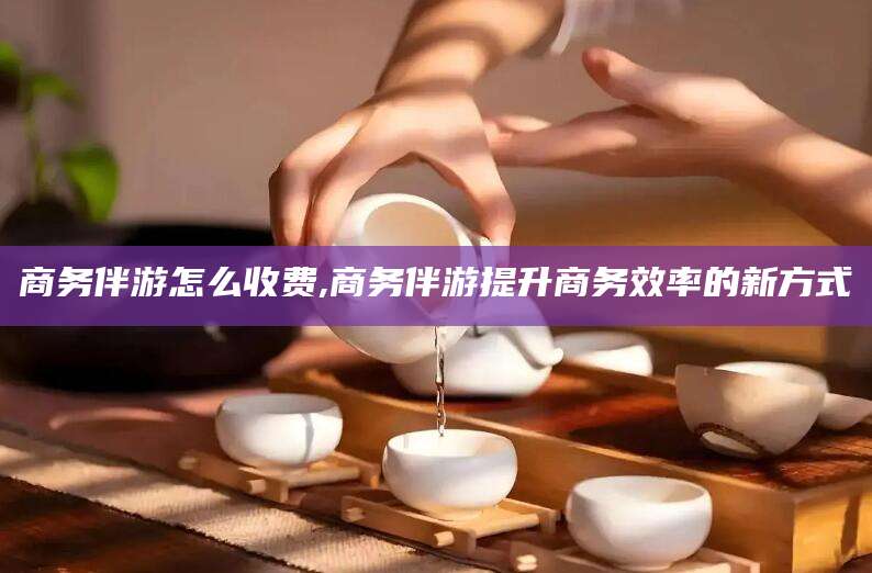 黑龙江商务伴游怎么收费,商务伴游提升商务效率的新方式