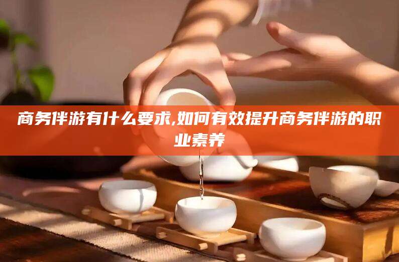 黑龙江商务伴游有什么要求,如何有效提升商务伴游的职业素养